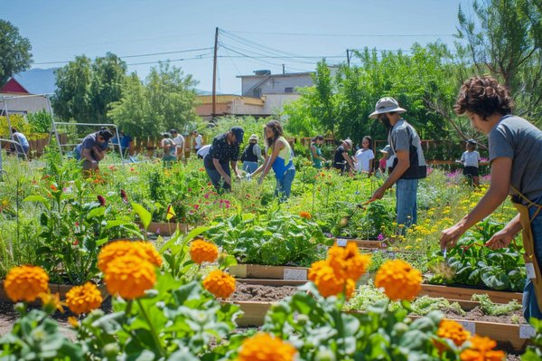 Was sind die Vorteile von Gemeinschaftsgärten für die Gemeinschaft und die Umwelt?